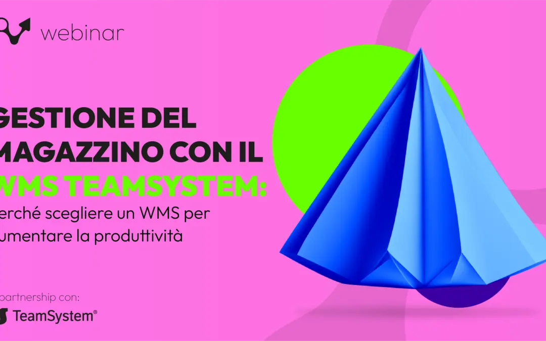 WMS magazzino più efficiente e produttivo: il ruolo strategico