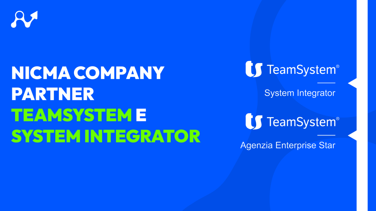 Partner teamsystem e system integrator