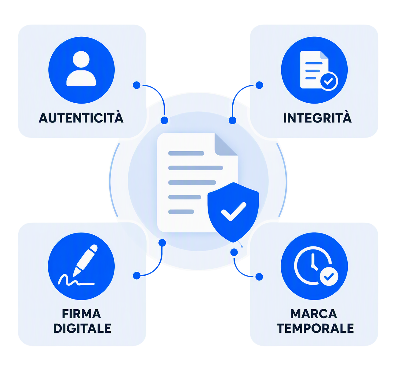 Infografica dms conservazione