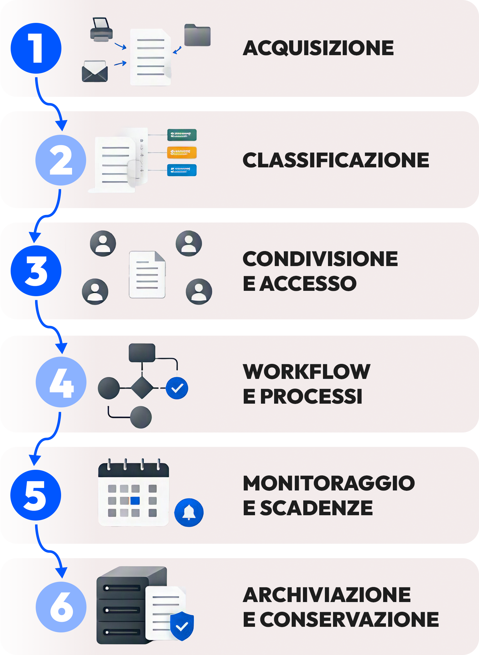 Infografica processo dms